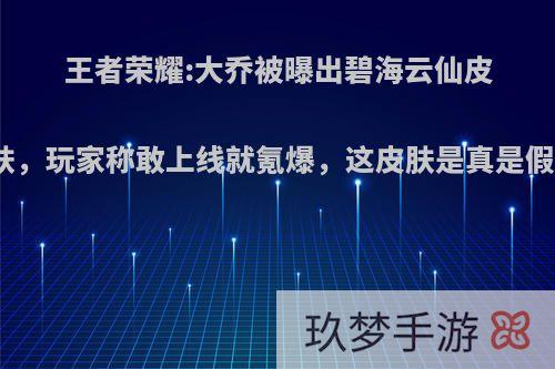 王者荣耀:大乔被曝出碧海云仙皮肤，玩家称敢上线就氪爆，这皮肤是真是假?