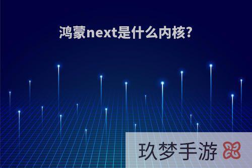 鸿蒙next是什么内核?