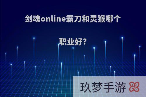 剑魂online霸刀和灵猴哪个职业好?