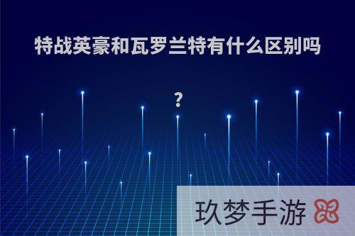 特战英豪和瓦罗兰特有什么区别吗?