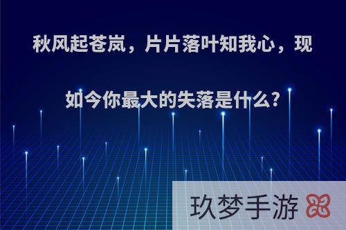 秋风起苍岚，片片落叶知我心，现如今你最大的失落是什么?