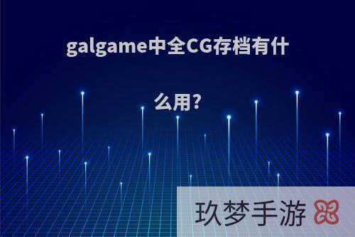 galgame中全CG存档有什么用?