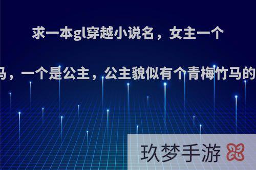 求一本gl穿越小说名，女主一个是驸马，一个是公主，公主貌似有个青梅竹马的男的?