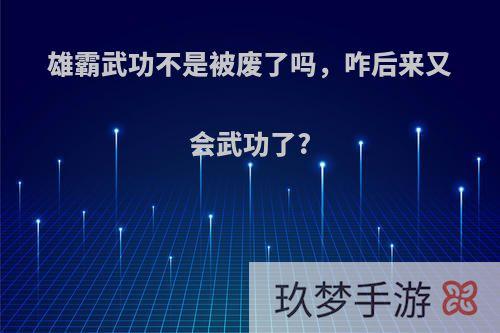 雄霸武功不是被废了吗，咋后来又会武功了?