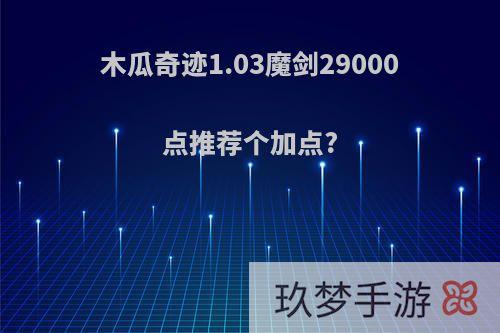 木瓜奇迹1.03魔剑29000点推荐个加点?