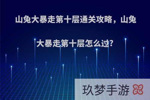 山兔大暴走第十层通关攻略，山兔大暴走第十层怎么过?