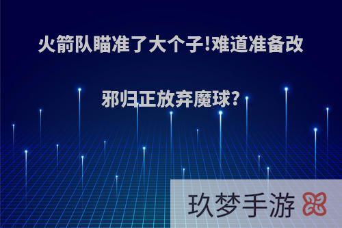 火箭队瞄准了大个子!难道准备改邪归正放弃魔球?