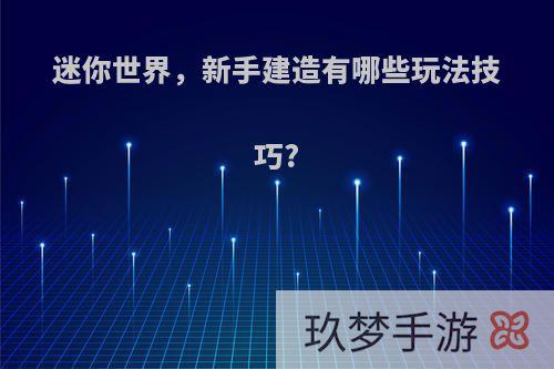 迷你世界，新手建造有哪些玩法技巧?