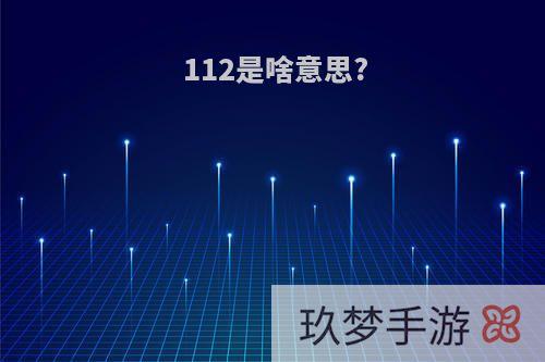 112是啥意思?