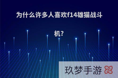 为什么许多人喜欢f14雄猫战斗机?