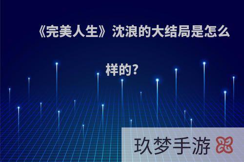 《完美人生》沈浪的大结局是怎么样的?