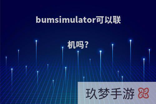 bumsimulator可以联机吗?