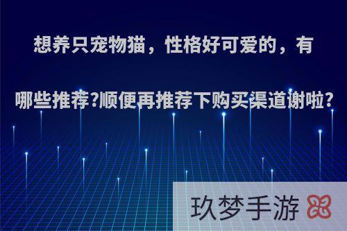 想养只宠物猫，性格好可爱的，有哪些推荐?顺便再推荐下购买渠道谢啦?