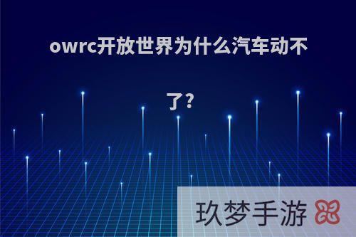 owrc开放世界为什么汽车动不了?