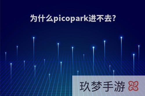 为什么picopark进不去?