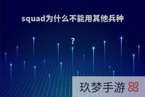 squad为什么不能用其他兵种?