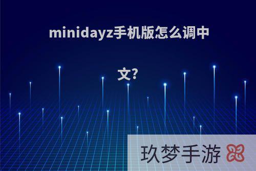 minidayz手机版怎么调中文?