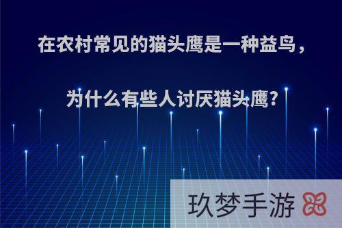 在农村常见的猫头鹰是一种益鸟，为什么有些人讨厌猫头鹰?