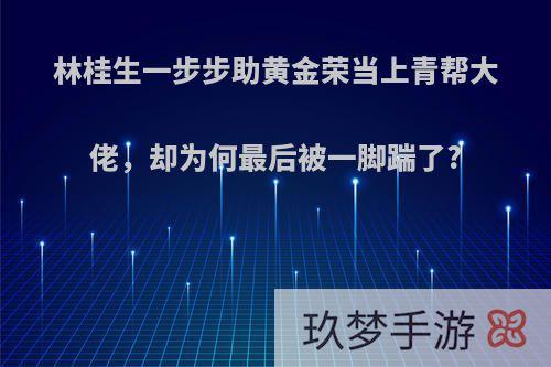 林桂生一步步助黄金荣当上青帮大佬，却为何最后被一脚踹了?