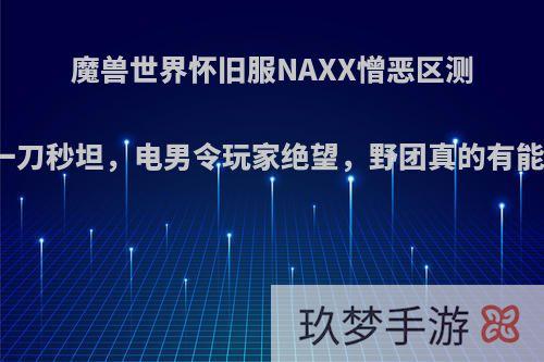 魔兽世界怀旧服NAXX憎恶区测试，战神一刀秒坦，电男令玩家绝望，野团真的有能力打通吗?