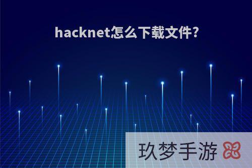 hacknet怎么下载文件?