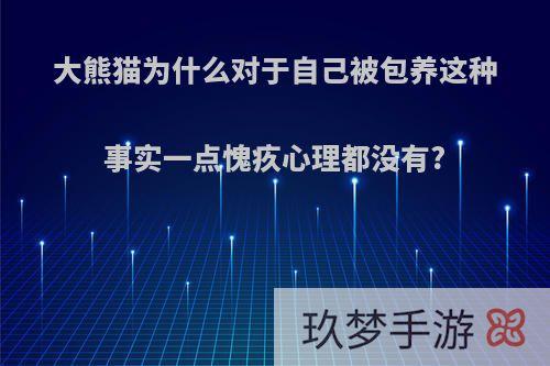 大熊猫为什么对于自己被包养这种事实一点愧疚心理都没有?