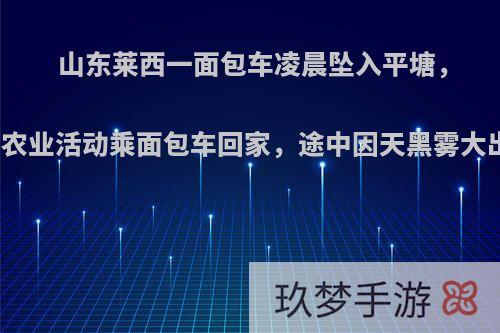 山东莱西一面包车凌晨坠入平塘，6人死亡:结束田间农业活动乘面包车回家，途中因天黑雾大出事故，你怎么看?