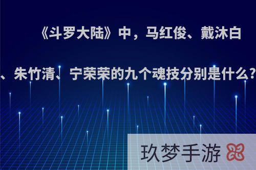 《斗罗大陆》中，马红俊、戴沐白、朱竹清、宁荣荣的九个魂技分别是什么?