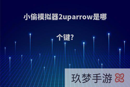 小偷模拟器2uparrow是哪个键?