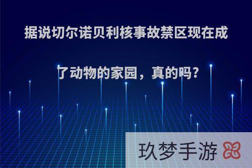 据说切尔诺贝利核事故禁区现在成了动物的家园，真的吗?