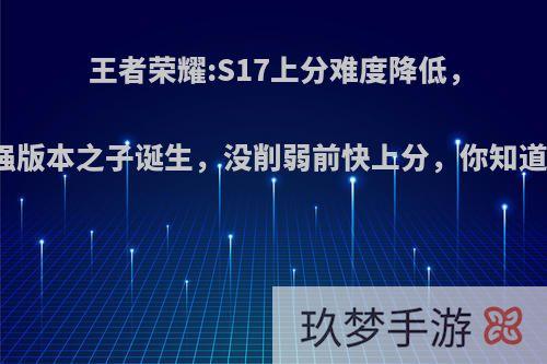 王者荣耀:S17上分难度降低，最强版本之子诞生，没削弱前快上分，你知道吗?