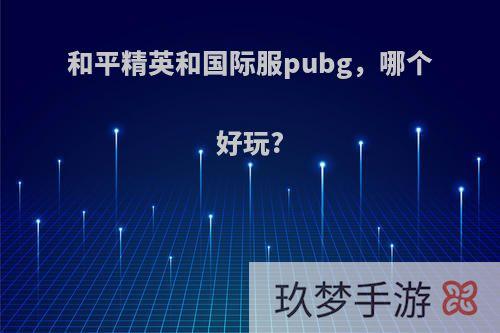 和平精英和国际服pubg，哪个好玩?