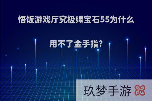 悟饭游戏厅究极绿宝石55为什么用不了金手指?