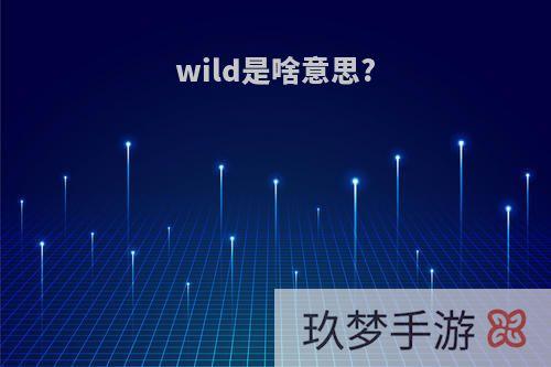 wild是啥意思?