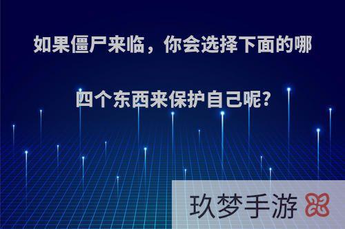 如果僵尸来临，你会选择下面的哪四个东西来保护自己呢?