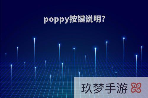 poppy按键说明?