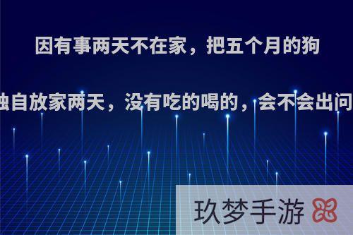 因有事两天不在家，把五个月的狗狗独自放家两天，没有吃的喝的，会不会出问题?