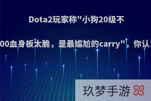 Dota2玩家称