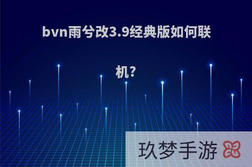 bvn雨兮改3.9经典版如何联机?