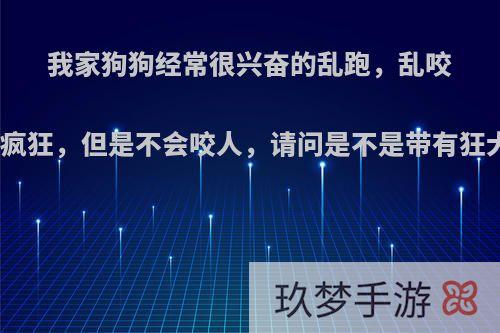 我家狗狗经常很兴奋的乱跑，乱咬玩具，感觉很疯狂，但是不会咬人，请问是不是带有狂犬病毒的症状?