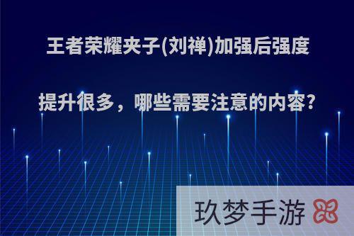 王者荣耀夹子(刘禅)加强后强度提升很多，哪些需要注意的内容?