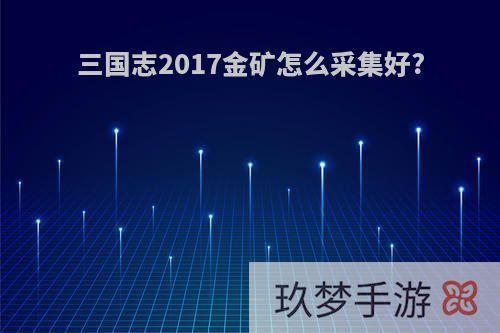 三国志2017金矿怎么采集好?