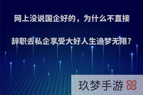 网上没说国企好的，为什么不直接辞职去私企享受大好人生追梦无限?