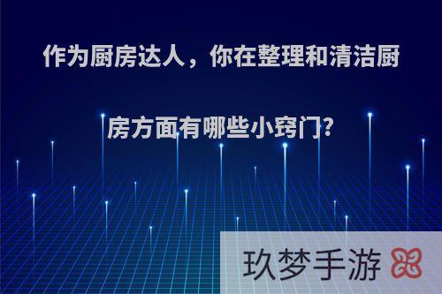 作为厨房达人，你在整理和清洁厨房方面有哪些小窍门?