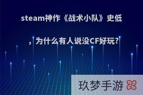 steam神作《战术小队》史低，为什么有人说没CF好玩?