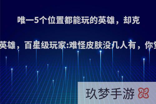 唯一5个位置都能玩的英雄，却克制所有英雄，百星级玩家:难怪皮肤没几人有，你觉得呢?