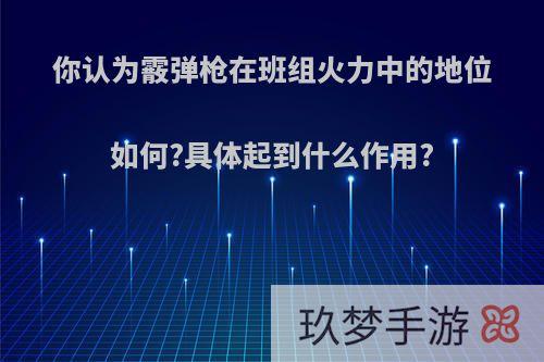 你认为霰弹枪在班组火力中的地位如何?具体起到什么作用?