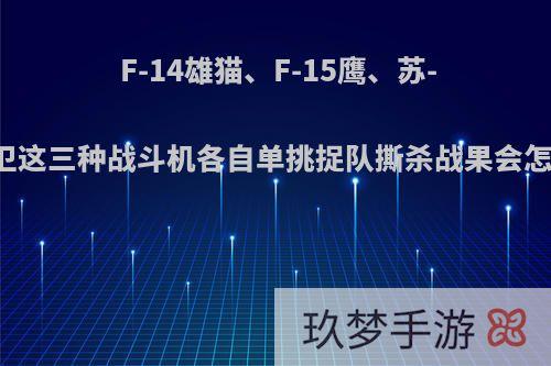 F-14雄猫、F-15鹰、苏-27侧卫这三种战斗机各自单挑捉队撕杀战果会怎么样?