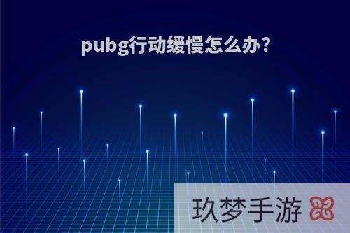 pubg行动缓慢怎么办?