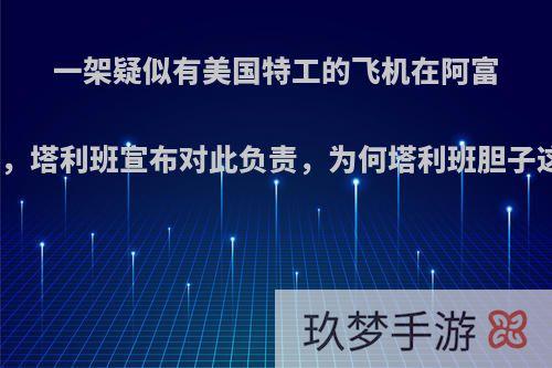 一架疑似有美国特工的飞机在阿富汗坠毁，塔利班宣布对此负责，为何塔利班胆子这么大?